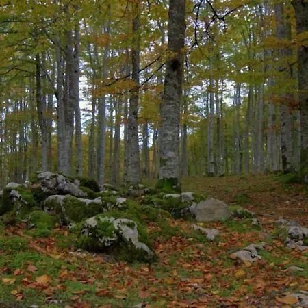 Hostal Rural Elosta-3